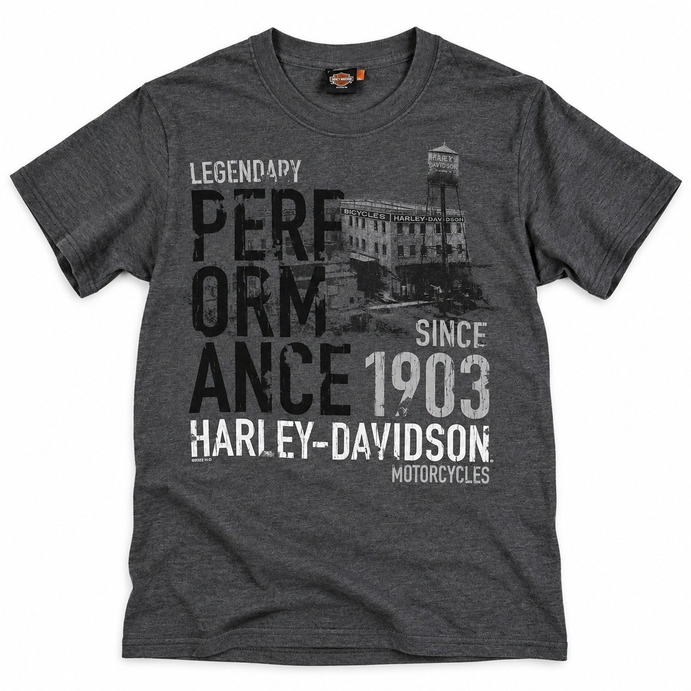 Harley Davidson Legendary Performance Graphic T Shirt Womens Small Gray Heather